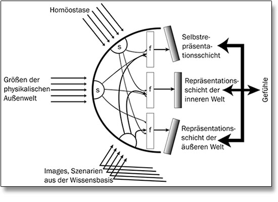 Brigitta Bernart-Skarek Graphikdesignerin Grafikdesign graphic design Wissenschaftliche Informationsgrafiken für die im SpringerWienNewYork-Verlag erschienenen Publikation: Simulating the Mind, A Technical Neuropsychoanalytical Approach, 2009; von Prof. Dietrich et al., (alle: Technische Universität Wien; Institut für Computertechnologie) 