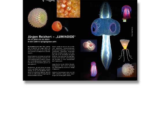 Brigitta Bernart-Skarek Graphikdesignerin Editorialdesign editorial design Katalog die lange Nacht der Schmuckkunst 2011 in Wien Layout Design LUMINOIDE von Jürgen Reichert 